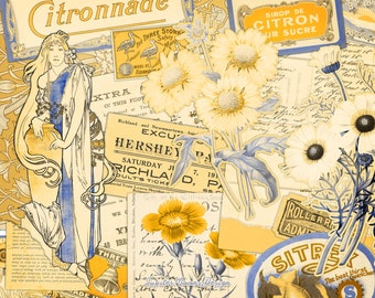 Effimeri vintage giallo pallido / DOWNLOAD DIGITALE / Diario spazzatura / Fiori pastello / Kit stampabile / Scrapbooking / Fogli Collage / Tag retrò