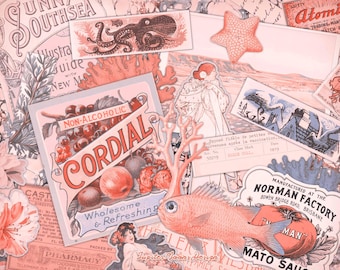 Effimera vintage rosso corallo pallido / DOWNLOAD DIGITALE / Diario spazzatura / Pastello / Kit stampabile / Scrapbook / Foglio Collage / Tag retrò