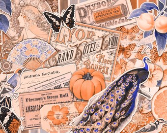 Effimeri vintage arancione pallido / DOWNLOAD DIGITALE / Diario spazzatura / Diario / Kit stampabile / Fogli di collage di album / Tag retrò / Documenti