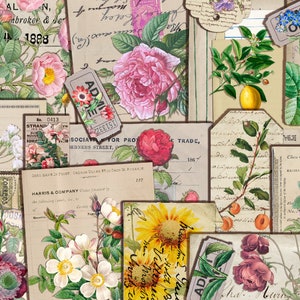Vintage Botanical Ephemera | DIGITAL DOWNLOAD | Junk Journal | Ephemera | Printable Kit | Scrapbook | Collage | Floral | Retro Garden Paper
