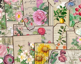 Vintage Botanical Ephemera | DIGITAL DOWNLOAD | Junk Journal | Ephemera | Printable Kit | Scrapbook | Collage | Floral | Retro Garden Paper