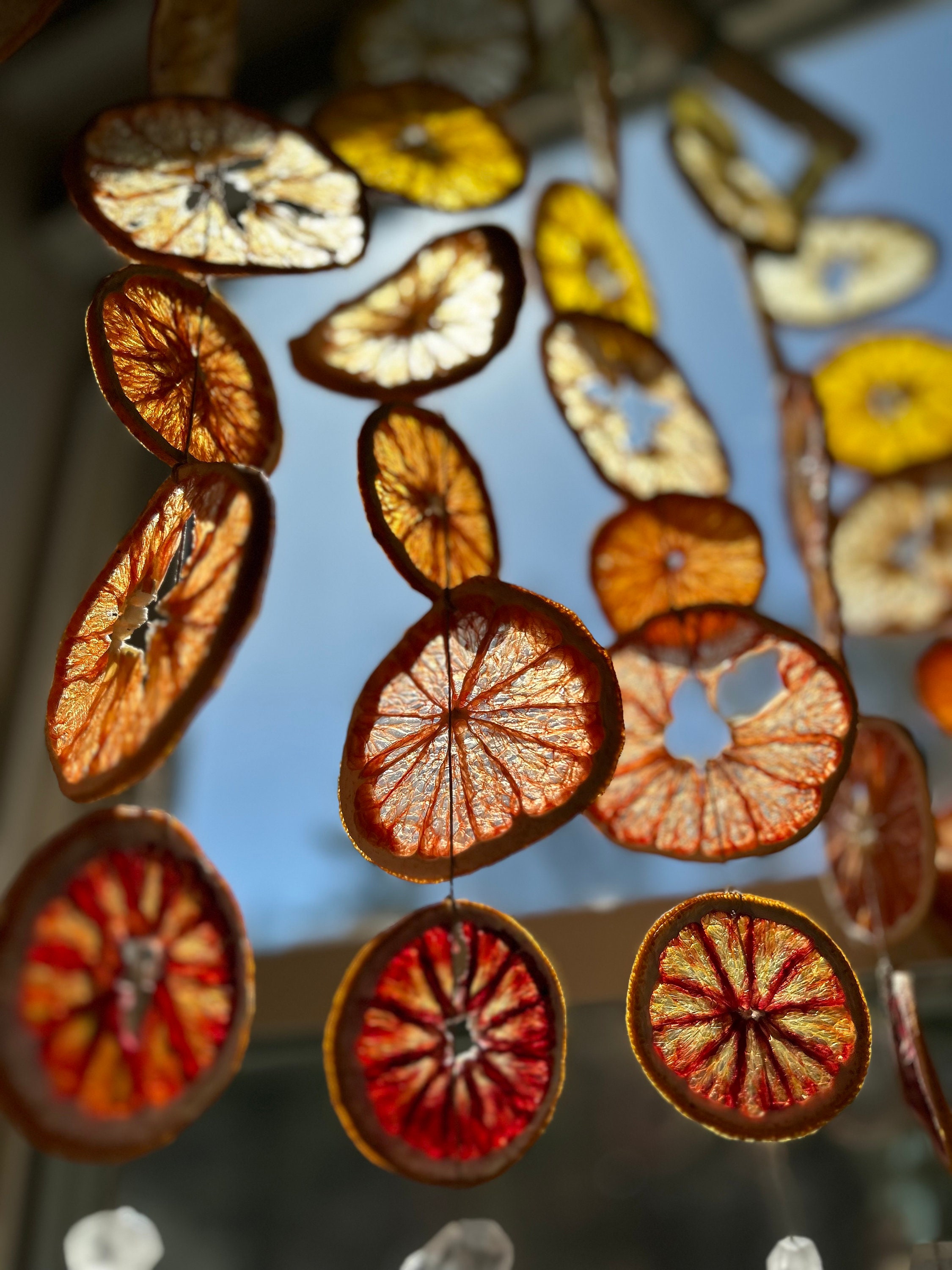 Sunrise Citrus Wall Hanging - Etsy