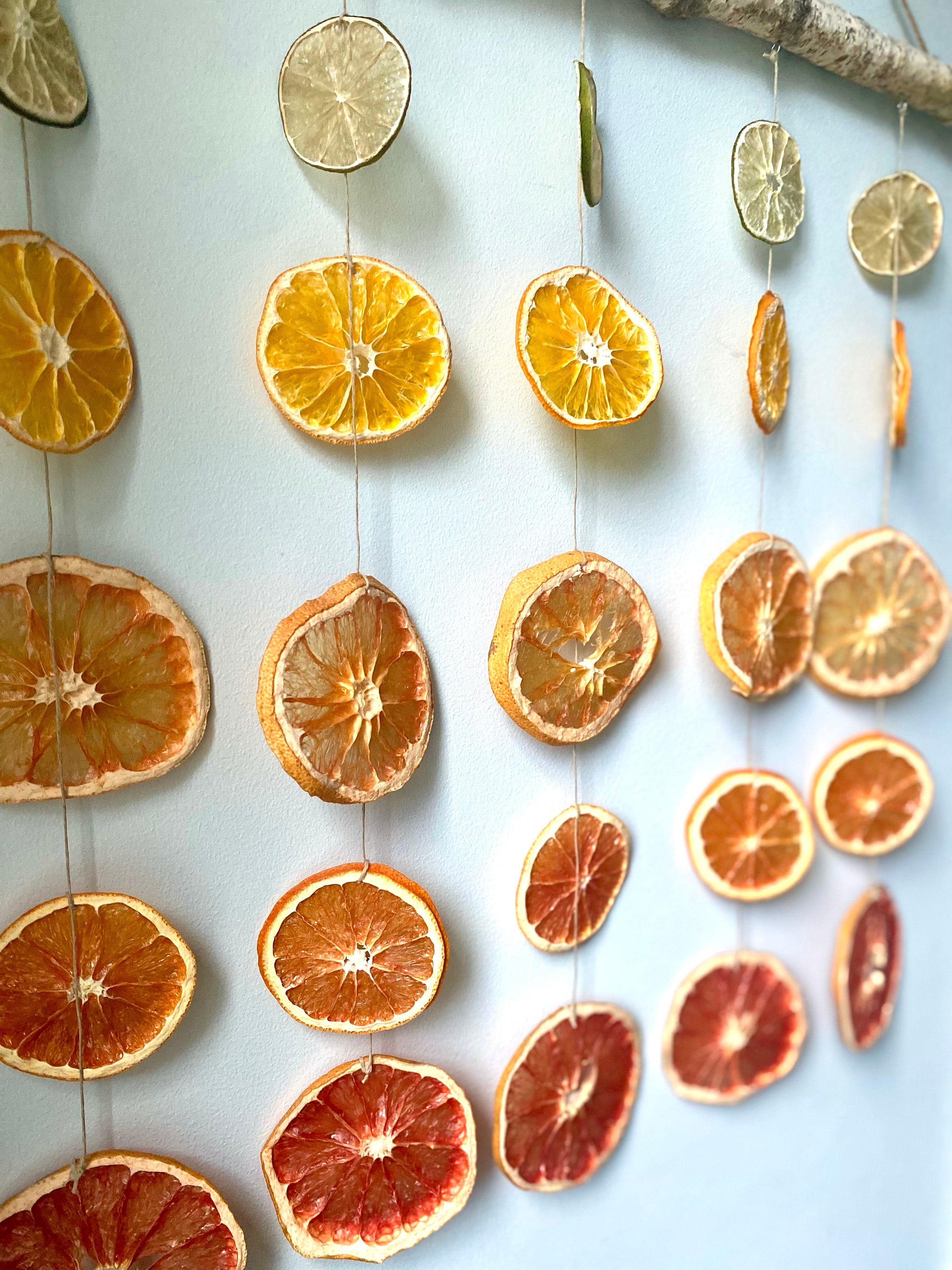 Sunrise Citrus Wall Hanging - Etsy