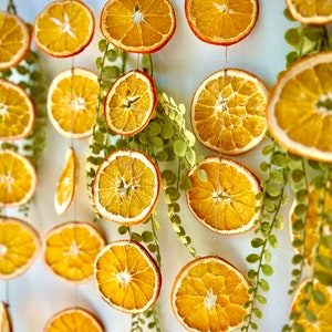Puede incluir: Un colgante de pared hecho de rodajas de naranja secas y follaje verde. Las rodajas de naranja est&aacute;n enhebradas en un cordel y cuelgan en un patr&oacute;n escalonado. El follaje est&aacute; intercalado entre las rodajas de naranja.