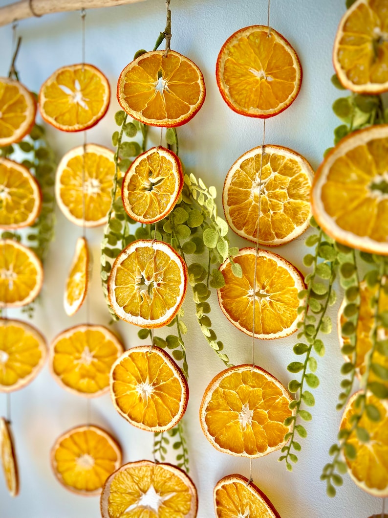 Puede incluir: Un colgante de pared hecho de rodajas de naranja secas y follaje verde. Las rodajas de naranja est&aacute;n enhebradas en un cordel y cuelgan en un patr&oacute;n escalonado. El follaje est&aacute; intercalado entre las rodajas de naranja.