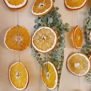 Puede incluir: Una guirnalda de rodajas de naranja secas atadas con cuerda. La guirnalda est&aacute; decorada con ramitas de follaje verde.