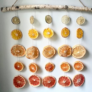 Sunrise Citrus wall hanging