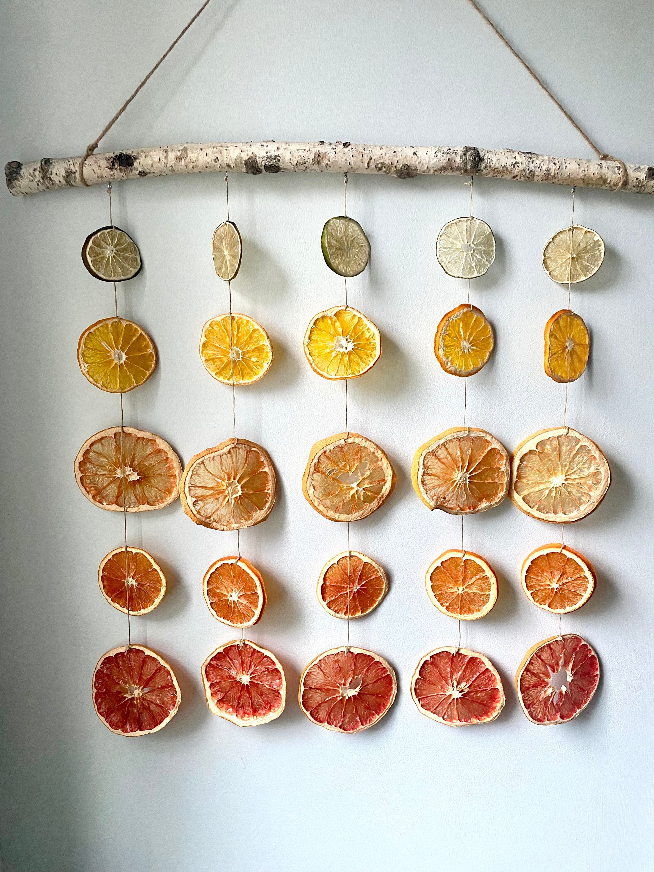 Sunrise Citrus Wall Hanging - Etsy