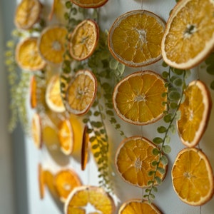 Puede incluir: Una guirnalda de rodajas de naranja secas atadas con cuerda y vegetaci&oacute;n. La guirnalda est&aacute; colgada en una pared blanca.