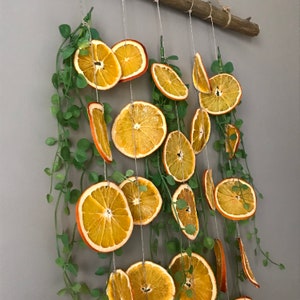 Puede incluir: Una decoraci&oacute;n de pared hecha de rodajas de naranja secas y enredaderas verdes frondosas. Las rodajas de naranja est&aacute;n enhebradas en un cordel y cuelgan a diferentes longitudes. Las enredaderas se tejen a trav&eacute;s de las rodajas de naranja y a&ntilde;aden un toque natural a la pieza.