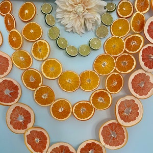 Iris - Arch Rainbow Citrus Tapestry