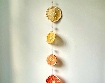 Atrapasol cítrico arcoíris