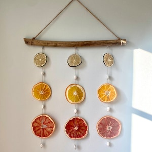 Rainbow Citrus Sun Catcher