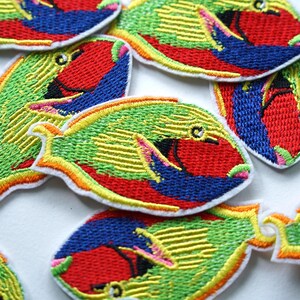 May include: Embroidered fish patches in various sizes. Each patch features a colourful design with red, green, yellow, and blue thread. The patches have a white border and are arranged on a white surface.