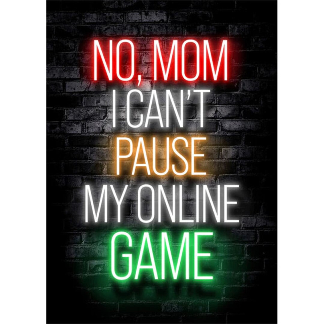 DON'T MAKE ME PAUSE MY GAME, I AM A CRAZY GAMER, MATTE COVER 6X9