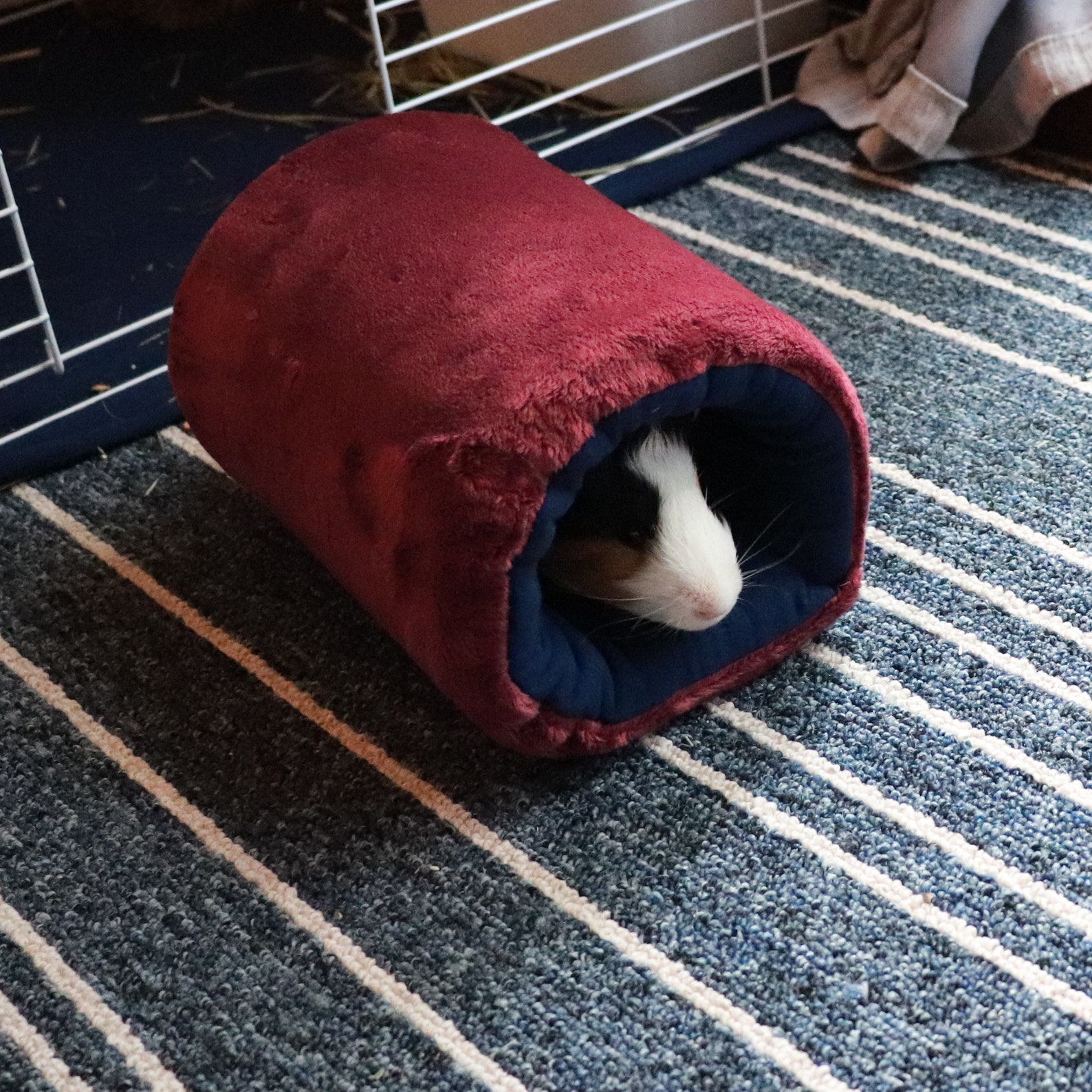 Guinea Pig Cozy Tunnel Soft fleece tunnel Hamster tunnel Etsy