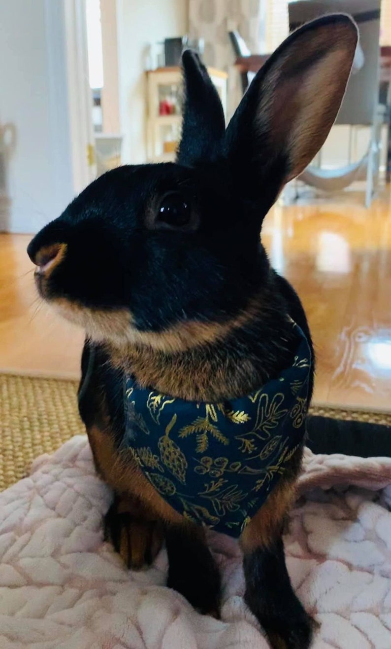 bandana for guinea pig bandana for bunny bandana for ferret Cute Bandana for small pets