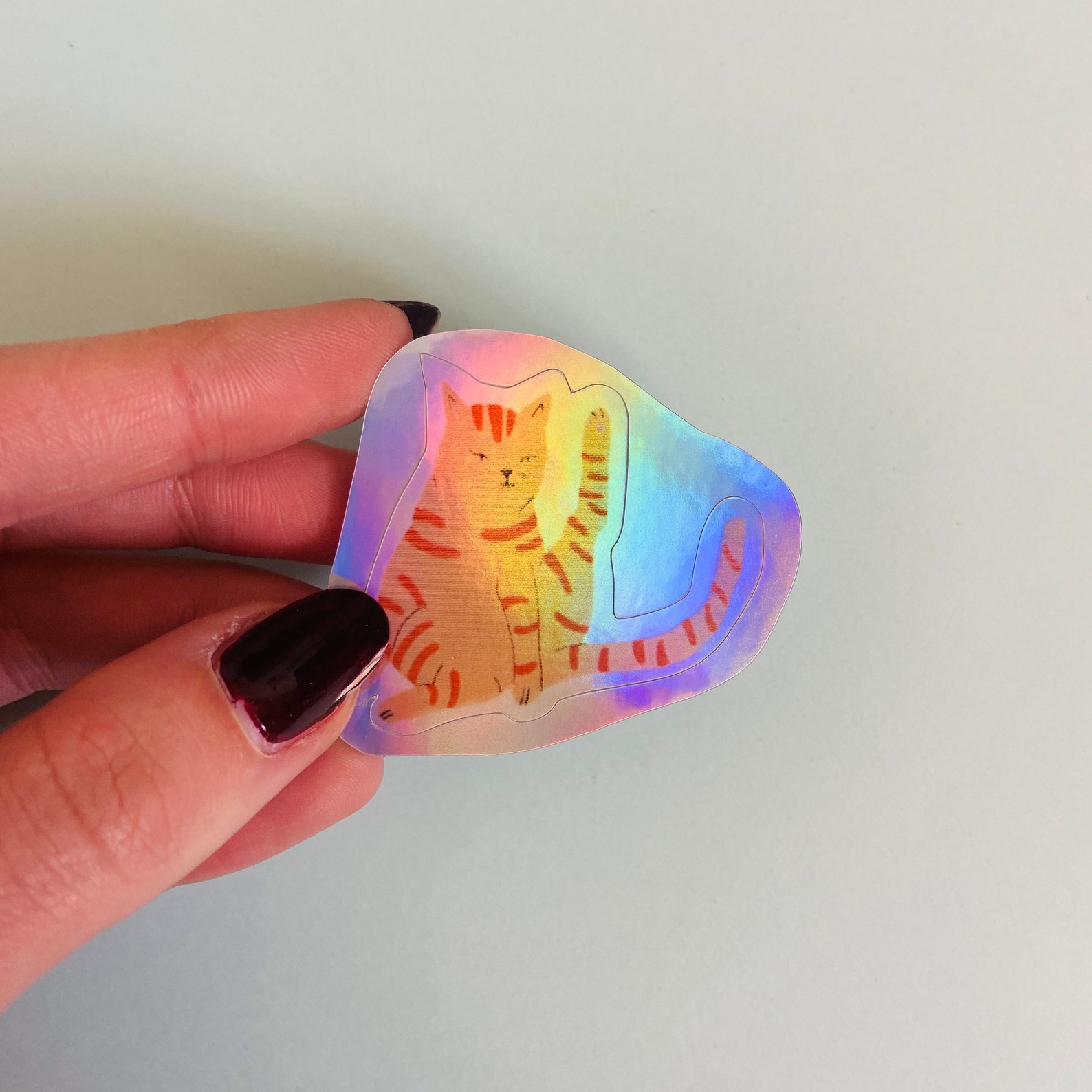 Holographic Cat Sticker Pack Etsy