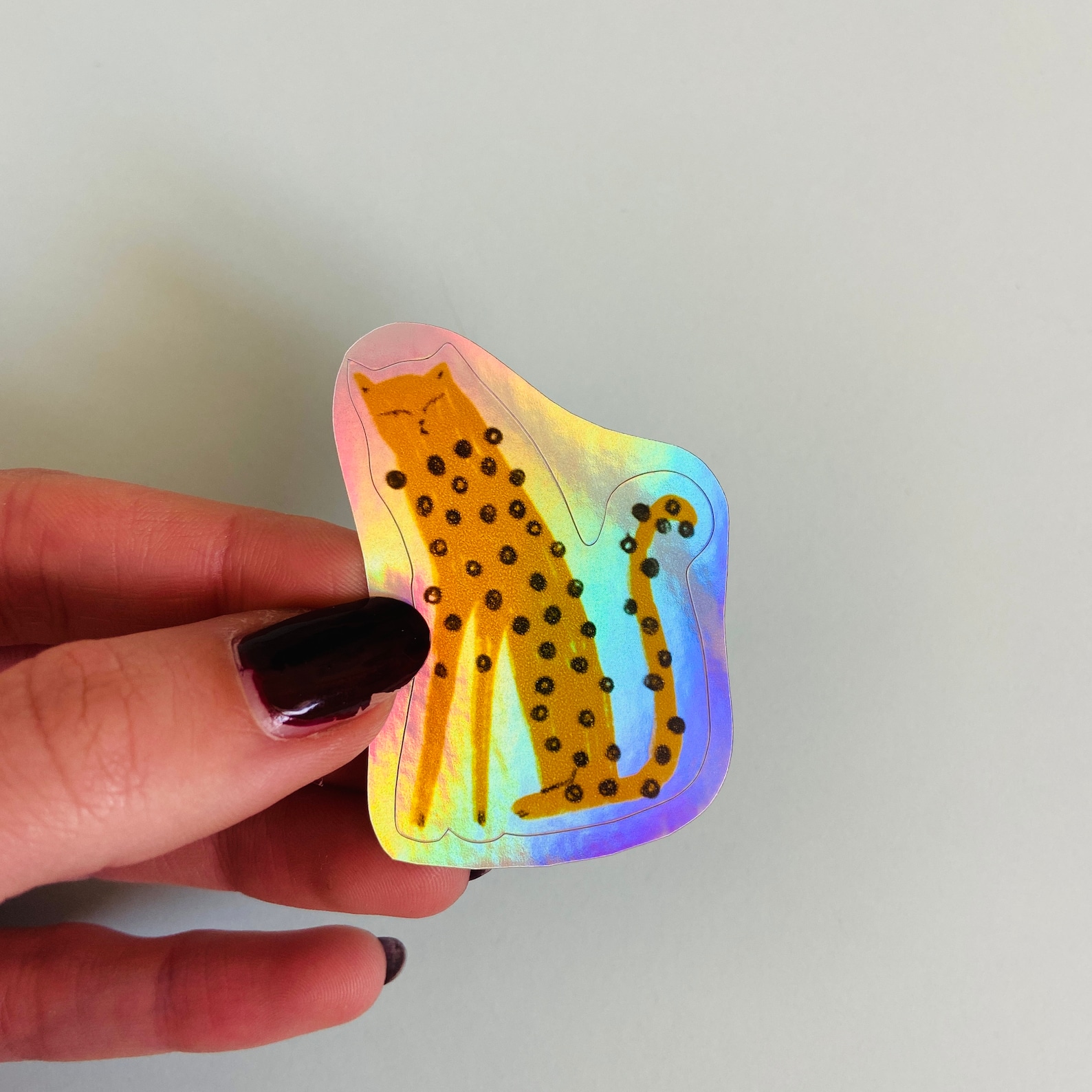 Holographic Cat Sticker Pack Etsy