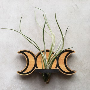 Boho Moon Phase Air Plant Holder: Celestial Magnet Planter