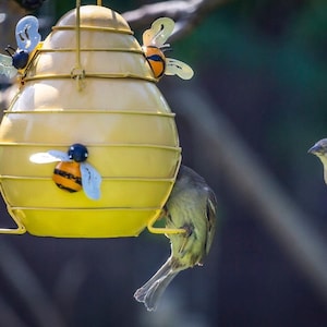 May include: A yellow, beehive-shaped bird feeder with bee decorations. Two small birds are near the feeder, one perched and the other in flight. The feeder is suspended by a wire against a blurred green background.