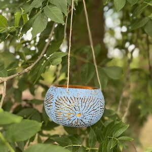 May include: A blue and gold hanging planter made from a coconut shell. The planter has a decorative carved design and is hanging from a natural twine rope.