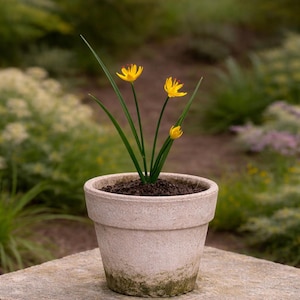 Handcrafted Crocus Flower. Handmade Metal Outdoor Flower Sculptures (2-4) Purple, White or  Yellow Crocus Metal Flower
