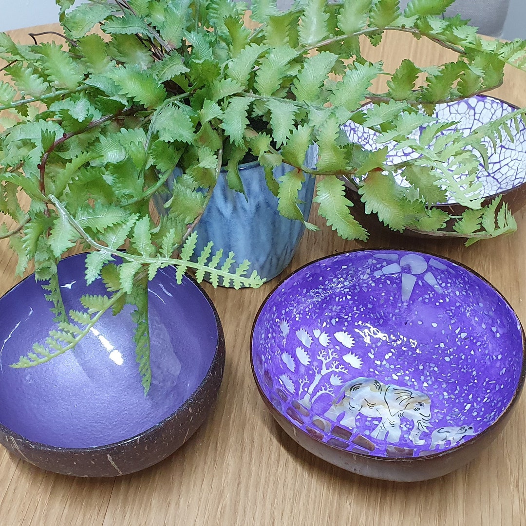 Recycled Coconut Shell Bowls Hand Crafted Lacquered Colour Decoration