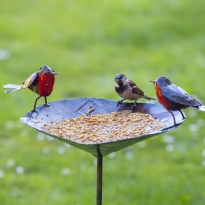 Robin bird bath feeder. Metal Robins feeder/ birdbath. Garden Accessory