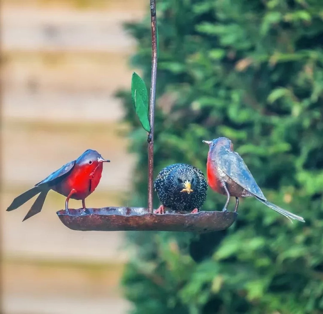 Hanging Bird Feeder Robins & Leaves Etsy UK