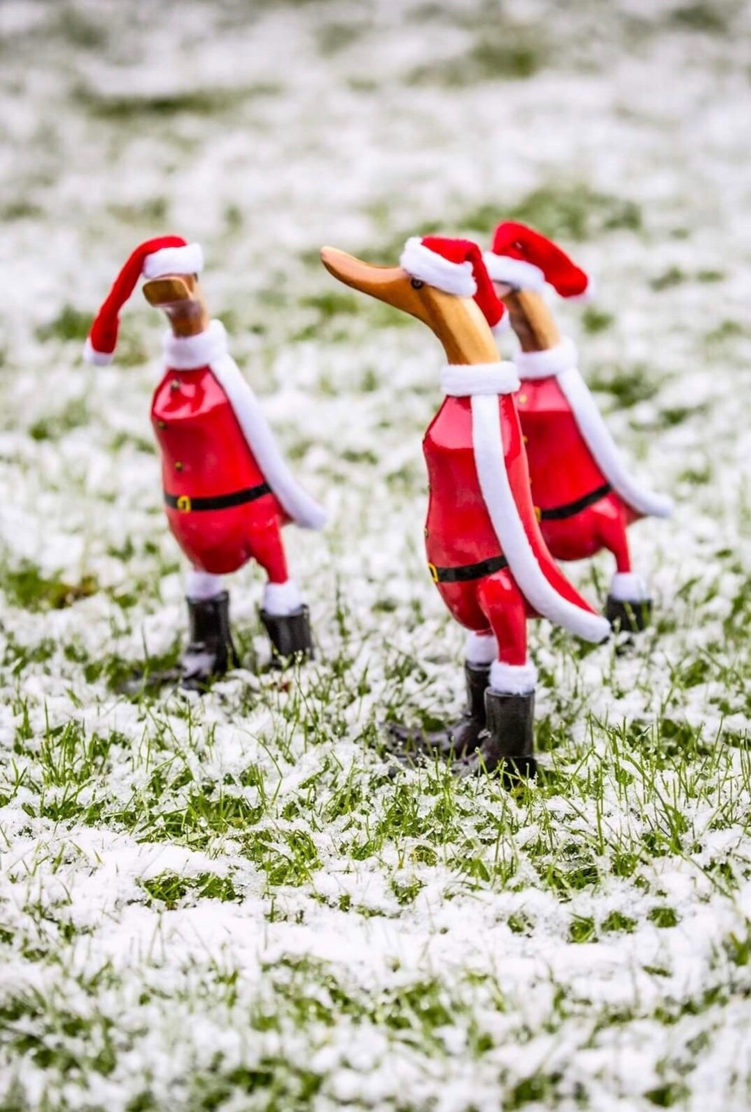 Santa Christmas Duck - Etsy UK