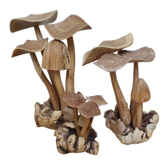 Parasite Wood Mushroom Colony Carving Parasite Wood Mushroom Colony Carving
