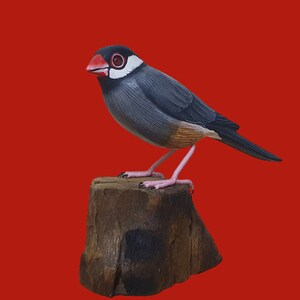 May include: A grey and white bird with a red beak perched on a brown wooden stump. The bird has pink legs and a white chest.