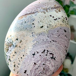 Pink Ocean Jasper Freeform Rare Pastel Orbicular Jasper Statement Piece Boho Goddess Decor Crystal Collector Gift for Women