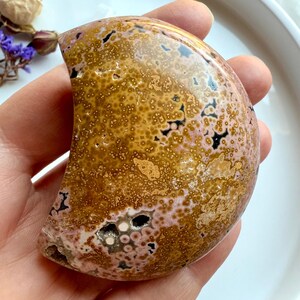 peachy yellow ocean jasper moon with detailed orbicular markings displayed in hand, a nurturing crystal for emotional healing and heart-centered support