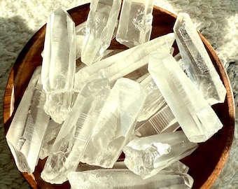 Lemurian Seed Quartz Points, Raw Unpolished Natural Clear Quartz Crystals from Brazil