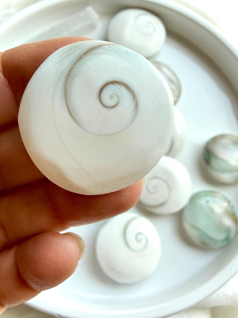 large Shiva Eye shell close-up with soft white tones and sacred spiral pattern