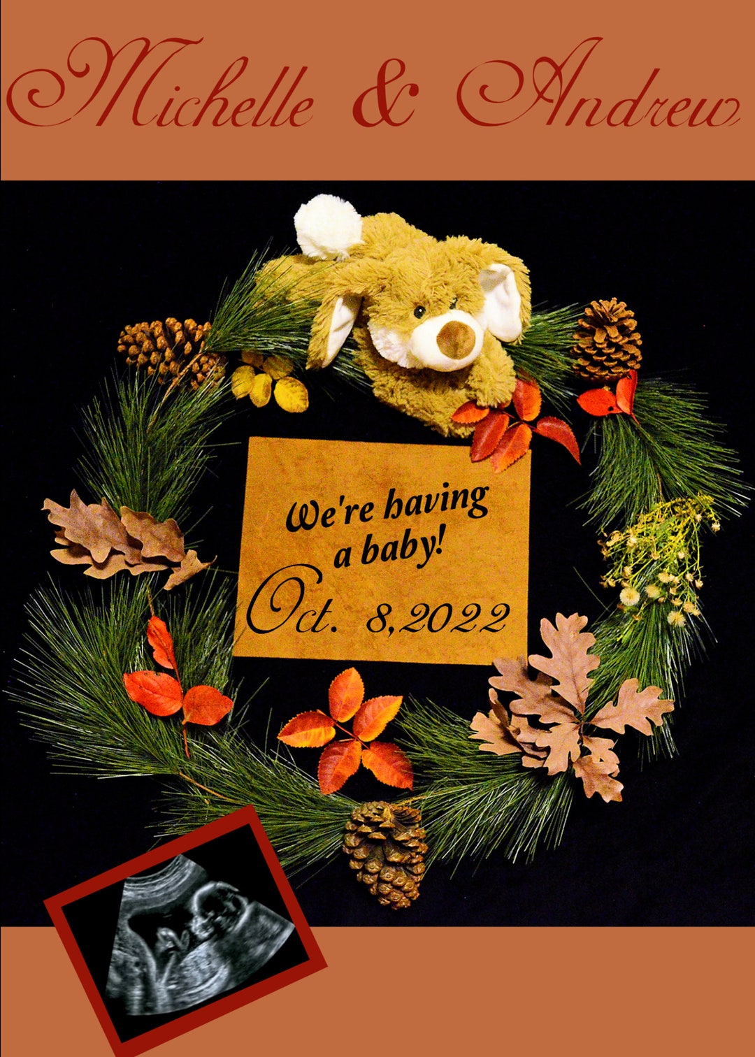 Digital Pregnancy Announcement/greeting Card Printable/brown Rabbit