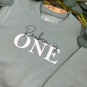 I am one sweatshirt, Birthday sweatshirt, One Sweatshirt