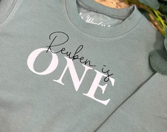 I am one sweatshirt, Birthday sweatshirt, One Sweatshirt