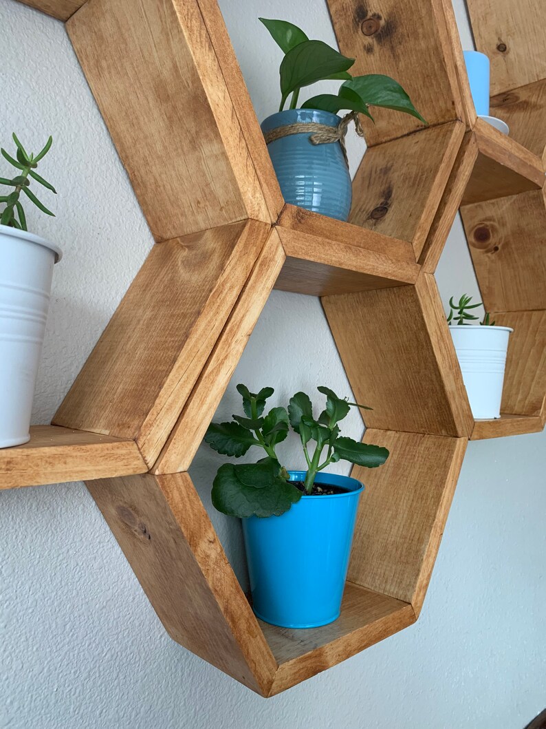 5 hexagon shape shelves 5 shelves plant shelves Etsy