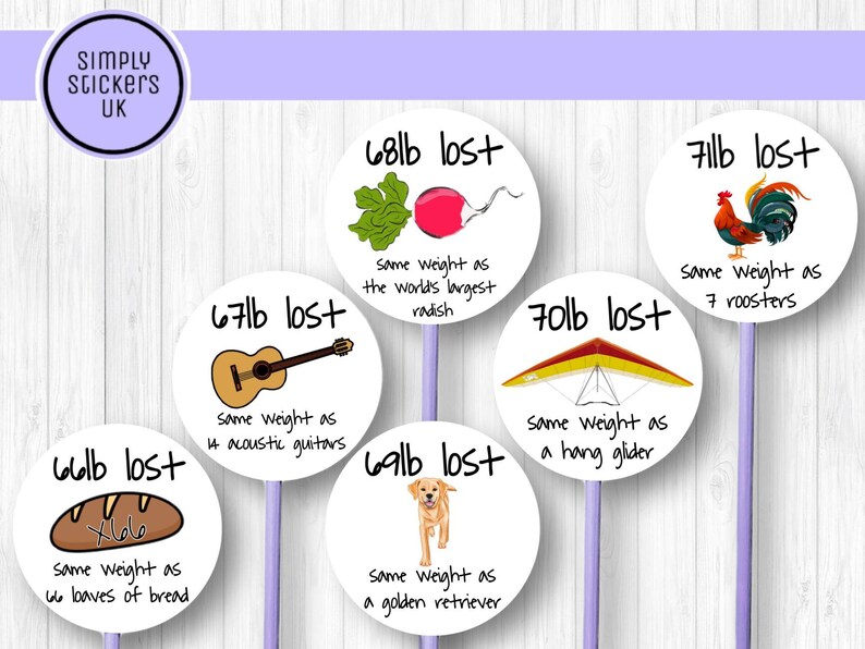 Weight Loss Comparison Stickers Diet Friendly Visual Aid - Etsy UK