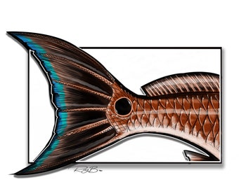 Download Redfish Tail Etsy