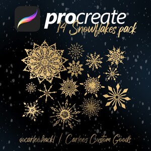 Procreate Pincel / Paquete de sello - 14 copos de nieve únicos - artículo de descarga digital - Navidad / vacaciones