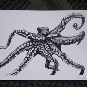 Krake.