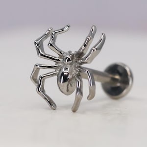 Titan ASTM F136 (in02) Spinne, Vogelspinne, Spinnentier mit Innengewinde 1.2 mm (16ga) Muschel, Helix, Knorpel, Lobe, Tragus