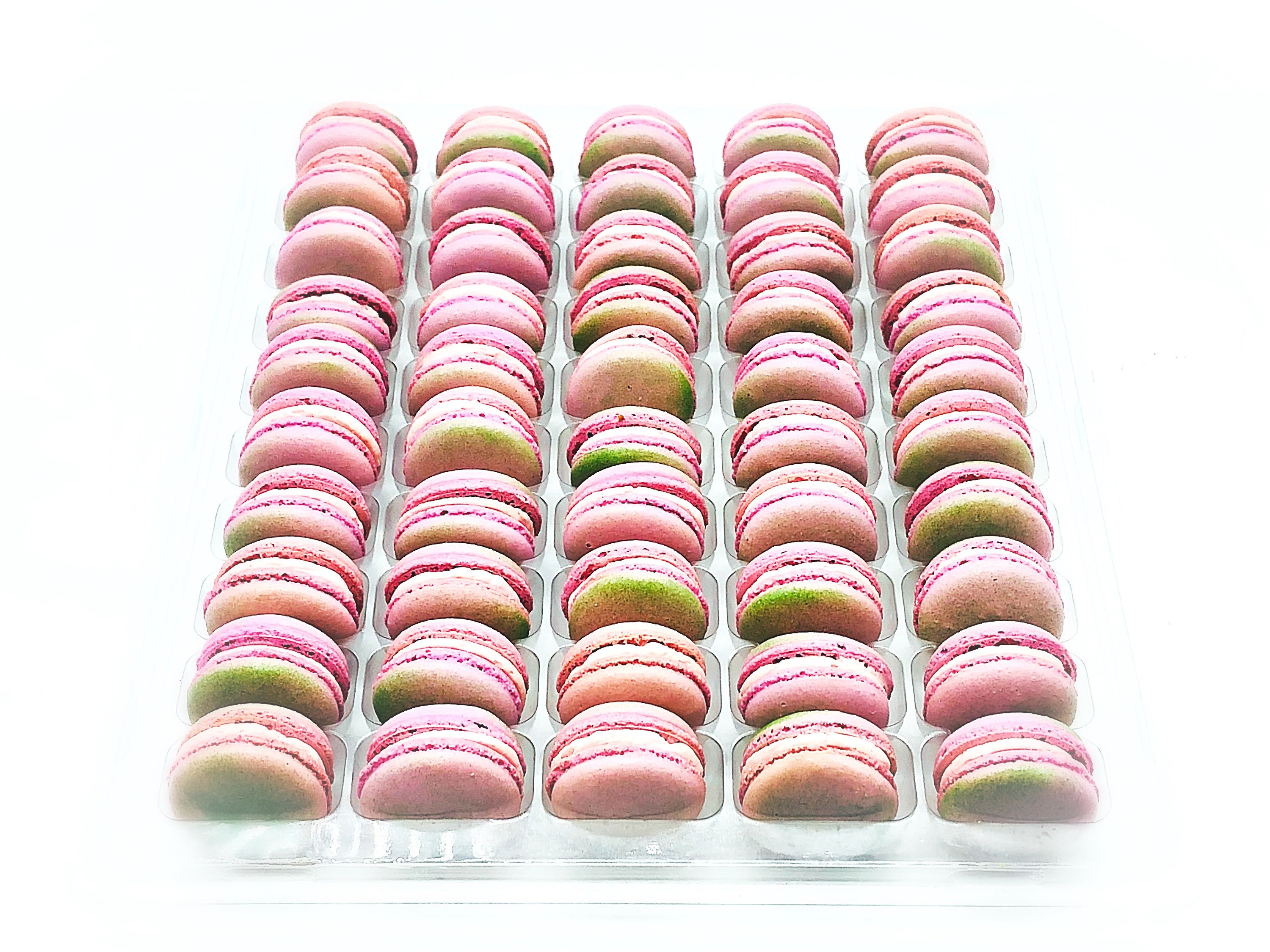 macaroon　※同梱割引 ZW6639 | 2