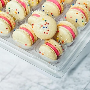 May include: A clear plastic container filled with colorful macarons. The macarons are white with pink filling and decorated with colorful sprinkles.