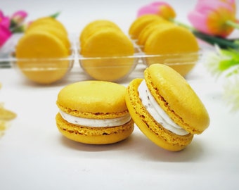 6 Pack  almond overload French macarons