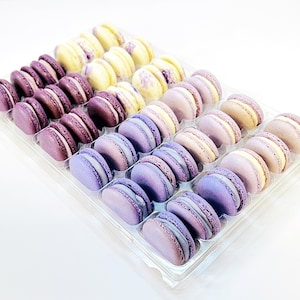Purple Vibe: A Flavorful Quartet of French Macarons in One Set | (Blackberry, Boysenberry, Ube and Grape) | 36 Pack